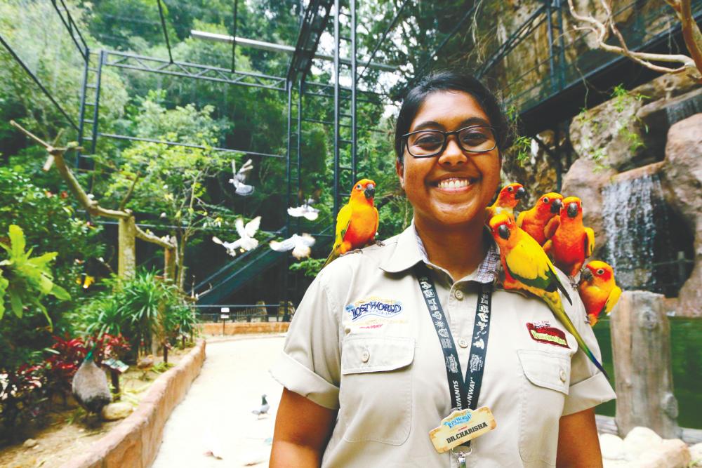 Dr Charisha Florence Fraser is in charge of all the animals in the Petting Zoo, including the ones that live in the now-expanded Bird Paradise aviary. – Pix by Lost World of Tambun