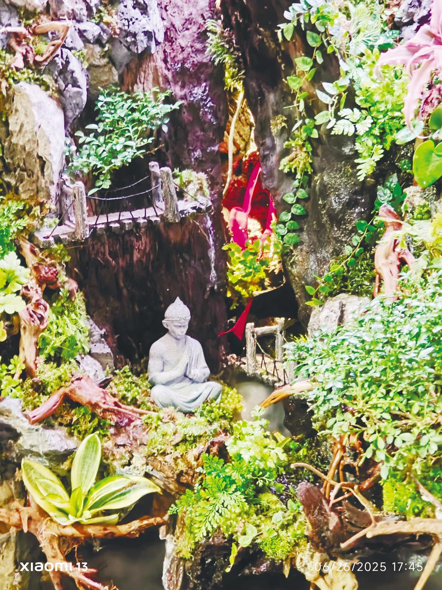 Zhe’s success with the “paludarium” spurred him into doing more for the environment. $!Zhe’s success with the “paludarium” spurred him into doing more for the environment.