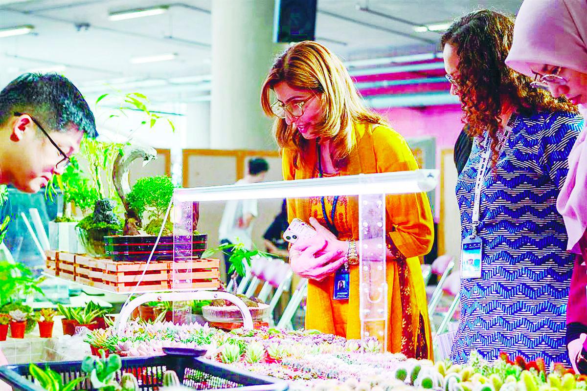 WED involved students in many projects which created awareness on sustainable actions.