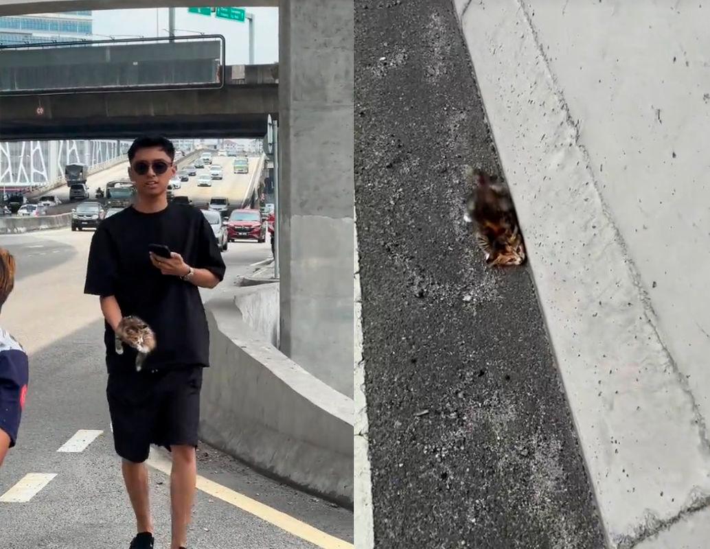 Credit: aimandvnial/TikTok