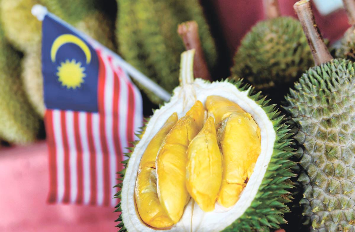 Durian isn’t just food; it is nostalgia, identity and the shared joy of prying open a fruit that has been passed down through generations. – BERNAMA