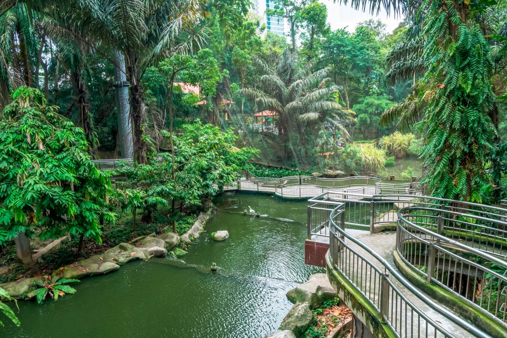 $!The KL Bird Park provides a cool and enjoyable respite from the heat