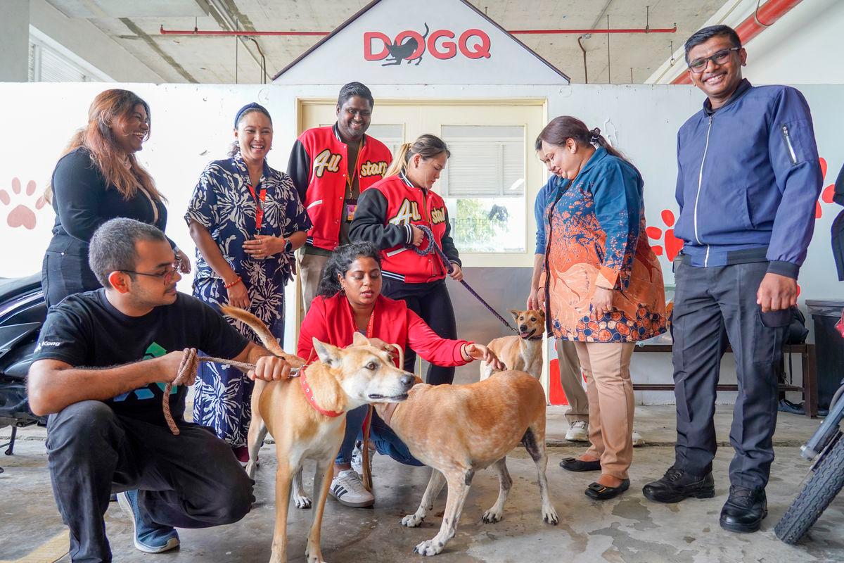 The volunteers said seeing the adopted dogs after a long day at work lifts their spirits. – AMIRUL SYAFIQ/THESUN