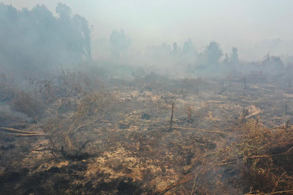Smouldering peatland is pictured in Kampar, Riau province, on September 17, 2019. Indonesia is battling forest fires causing toxic haze across southeast Asia with aircraft, artificial rain and even prayer, President Joko Widodo said during a visit to a hard-hit area on September 17. - AFP