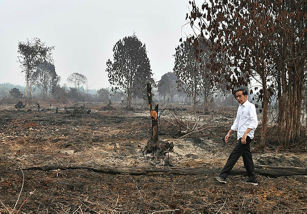 This handout picture taken on September 17, 2019 shows Indonesian President Joko Widodo inspecting the damages from the ongoing forest fires in Pekanbaru, Indonesia. — AFP