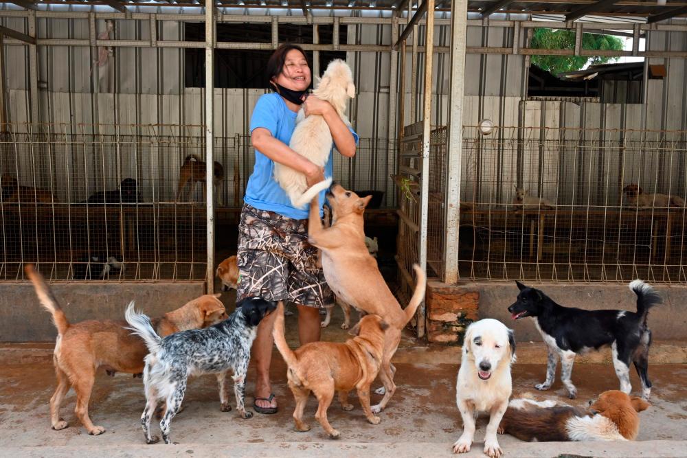 This picture taken on June 30, 2020 shows Indonesian doctor Susana Somali surrounded by dogs at her rescue shelter in Jakarta. — AFP