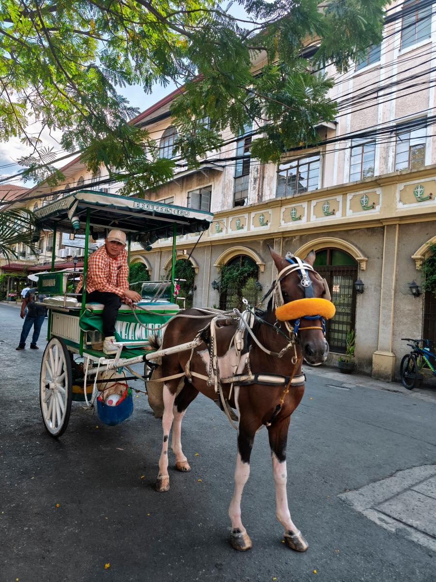 A kalesa ride through the cobbled streets of Intramuros gives us a glimpse into Manila’s colonial roots. $!A kalesa ride through the cobbled streets of Intramuros gives us a glimpse into Manila’s colonial roots.