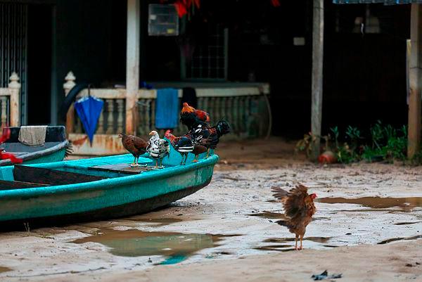 Pix for representational purposes only–Bernamapix