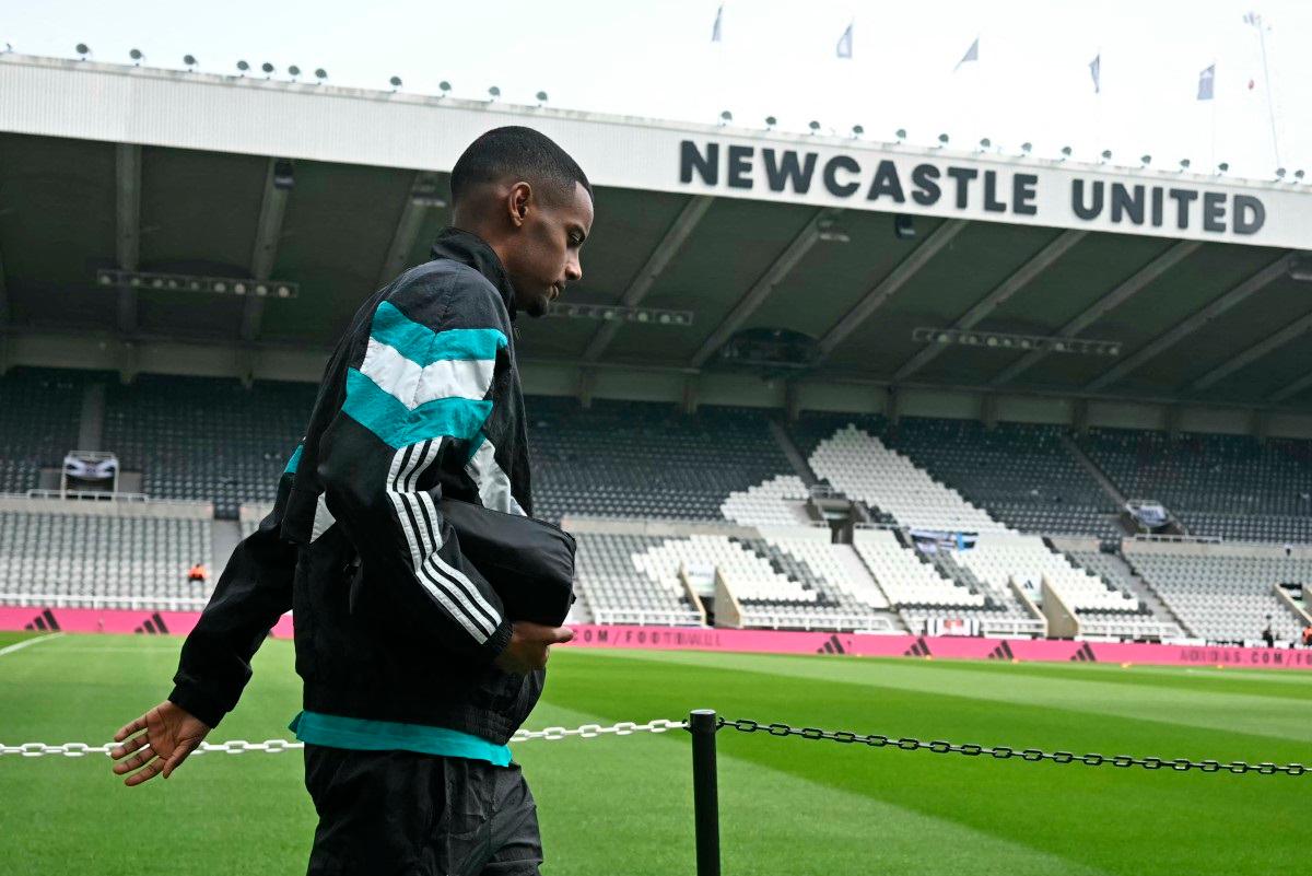 Newcastle United's Swedish striker #14 Alexander Isak. - Paul ELLIS / AFP