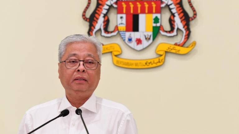 Foreigners with expired social visit passes can get extension at immigration depts: Sabri