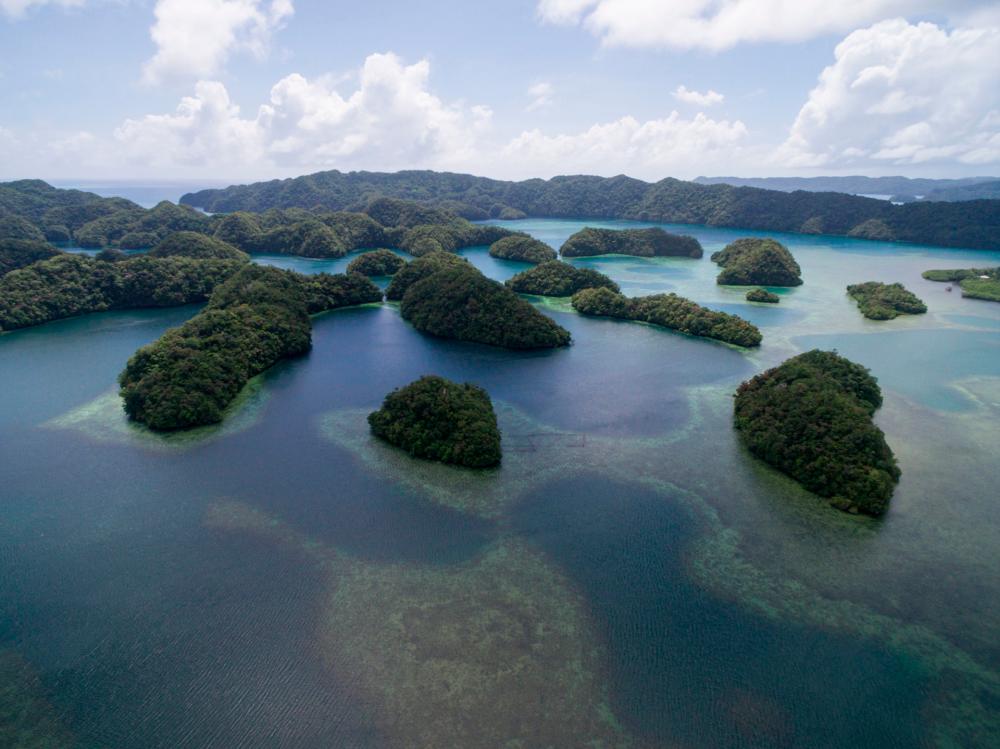 Palau, which lies in the western Pacific about halfway between Australia and Japan, is renowned for its marine life. © White_bcgrd / IStock.com
