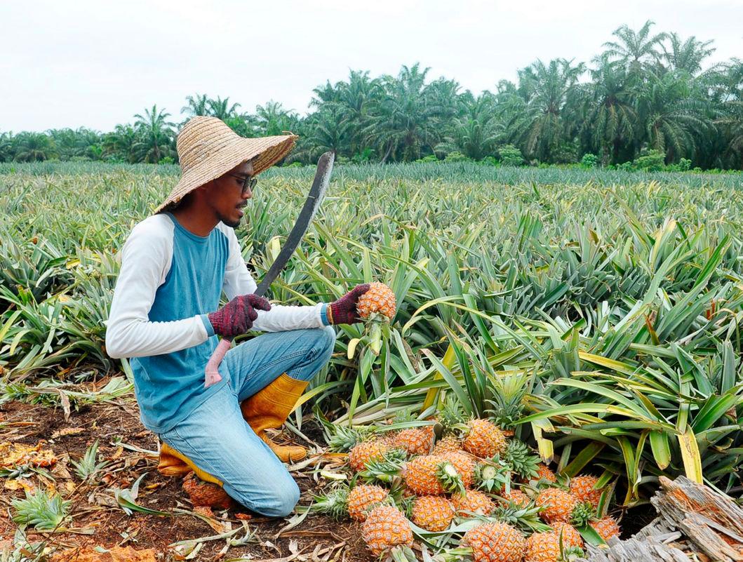 Gambar hiasan - fotoBERNAMA