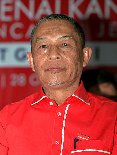 PPBM Tanjung Piai division chief Karmaine Sardini. — Bernama