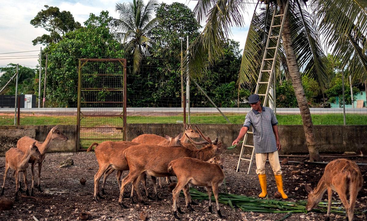 Image for visual purposes - Photo by BERNAMA