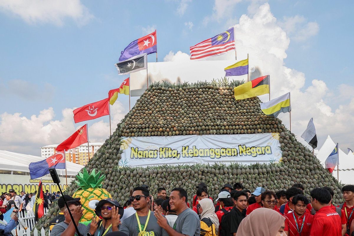 The public viewed the decorative pineapple mountain arrangement at the Official Launch of Malaysia Pineapple Day Celebration at Padang B, Plaza Angsana today. - BERNAMA