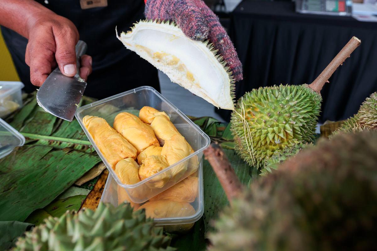 Durian Musang King yang dibeli pelanggan ketika tinjauan Bernama pada Program Jelajah Karnival Kementerian Perdagangan Dalam Negeri dan Kos Sara Hidup (KPDN) 2025 dan Kempen Beli Barangan Malaysia Zon Selatan di Pusat Konvensyen Puteri Harbour hari ini. - fotoBERNAMA
