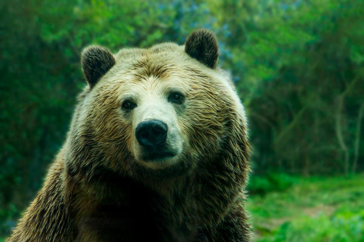 Pix for visual purposes. Photo: Jessica Weiller/UNSPLASH