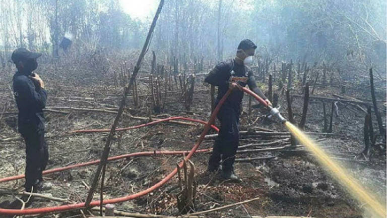 Fire and Rescue Department personnel extinguish fires involving peat soil in Johan Setia, Klang on Aug 15, 2018.