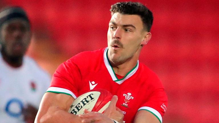 Johnny Williams urges Wales fans to keep faith