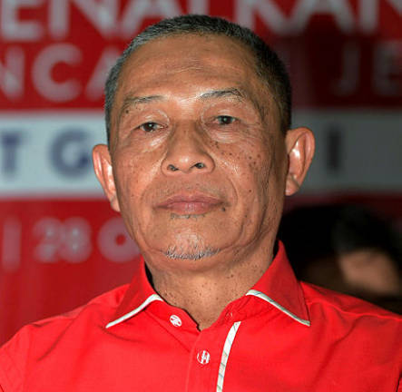 PPBM Tanjung Piai division chief Karmaine Sardini. — Bernama
