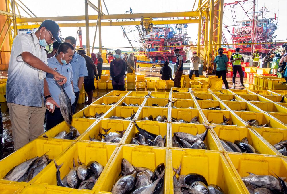 Deputy minister of Domestic Trade and Consumer Affairs, Datuk Rosol Wahid (L) visits the Fisheries Development Authority’s fish landing jetty at Tok Bali today. — Bernama