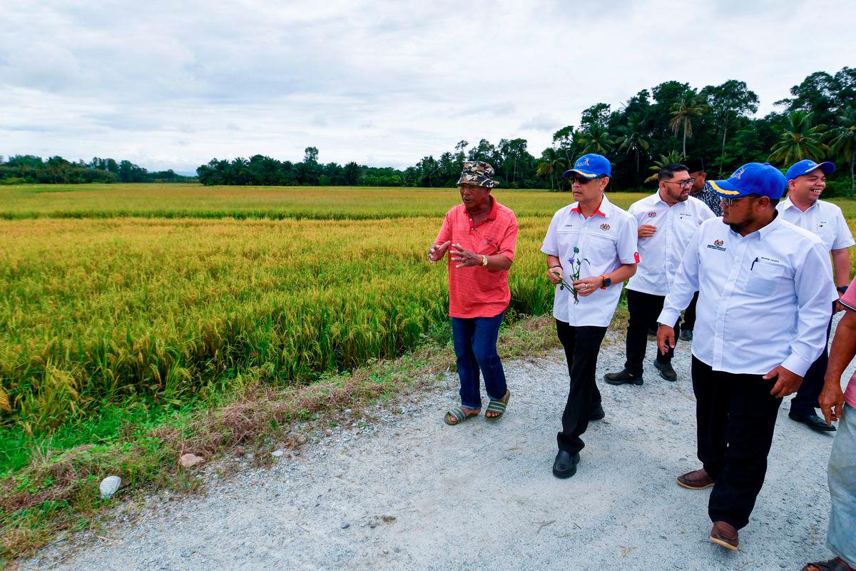 The Deputy Secretary‑General (Development) of the Ministry of Agriculture and Food Security, Datuk Luqman Ahmad (second from left), inspected rice fields at the Bachok Rice Harvesting Programme in Kampung Keting today. Also present was Mohd Faizul Mustafa (right), General Manager of the Kemubu Agricultural Development Authority (KADA). - BERNAMA