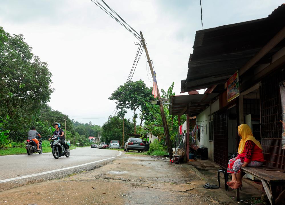 BERNAMAPix