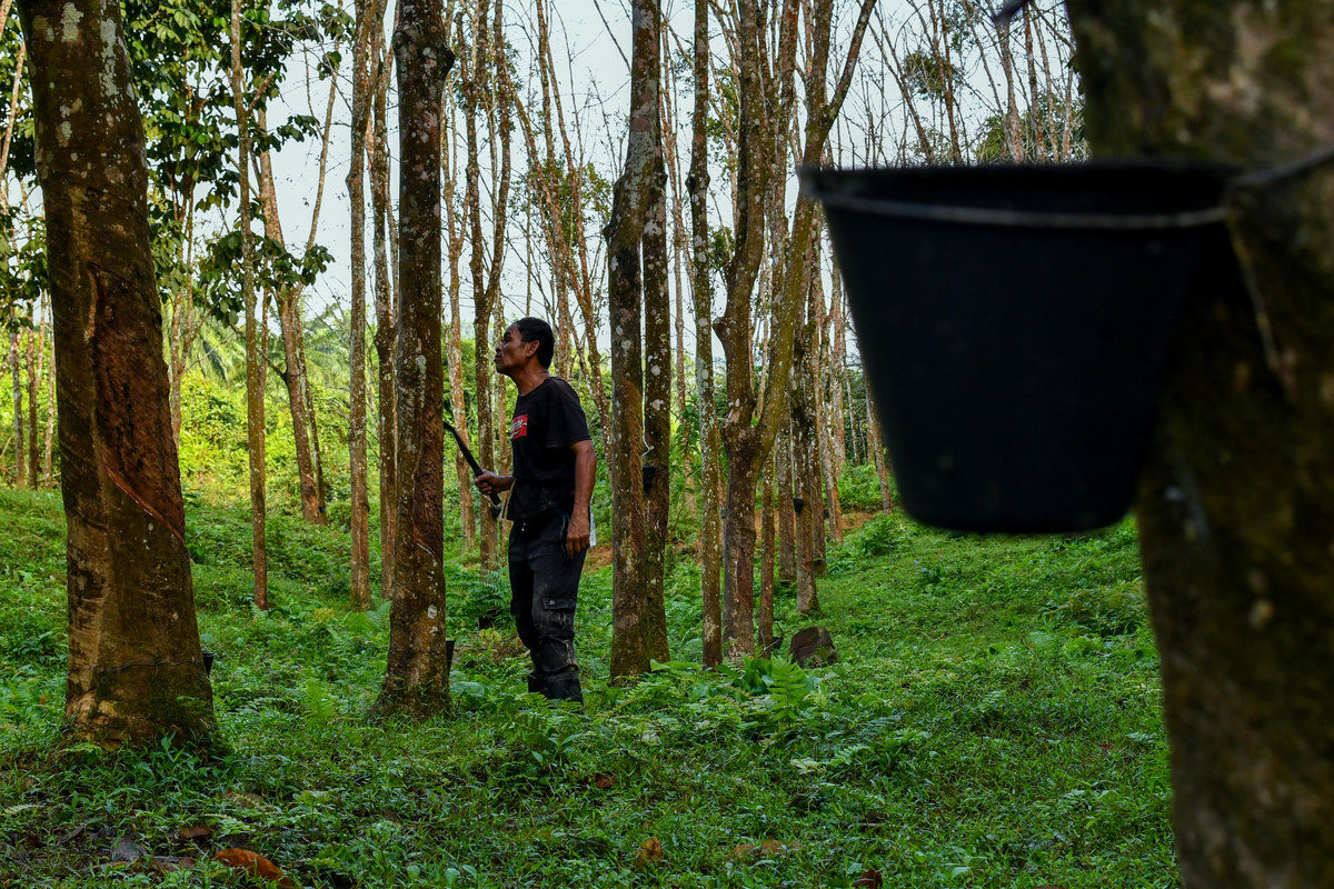 Pix for representational purposes. - BERNAMA
