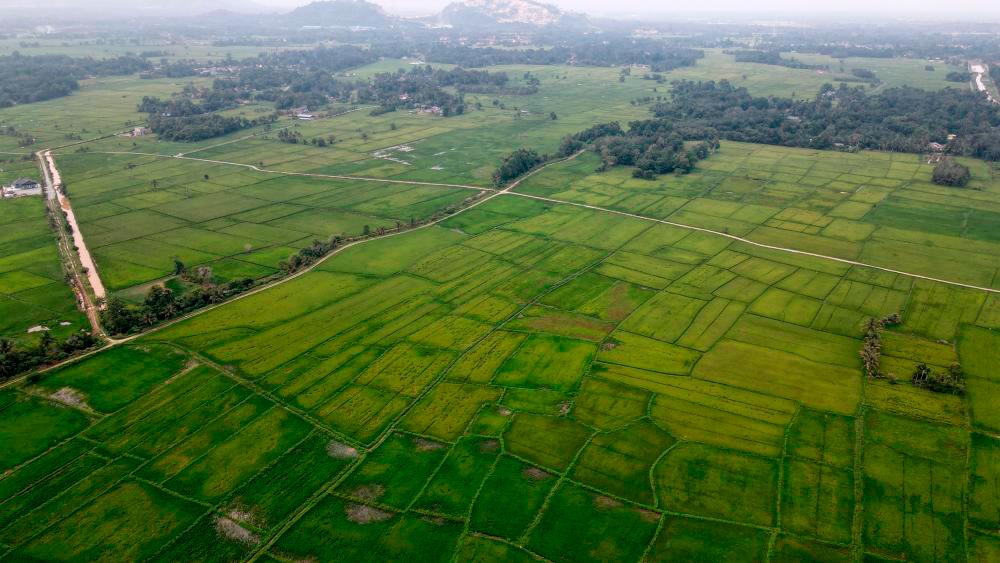 Gambar hiasan - fotoBERNAMA