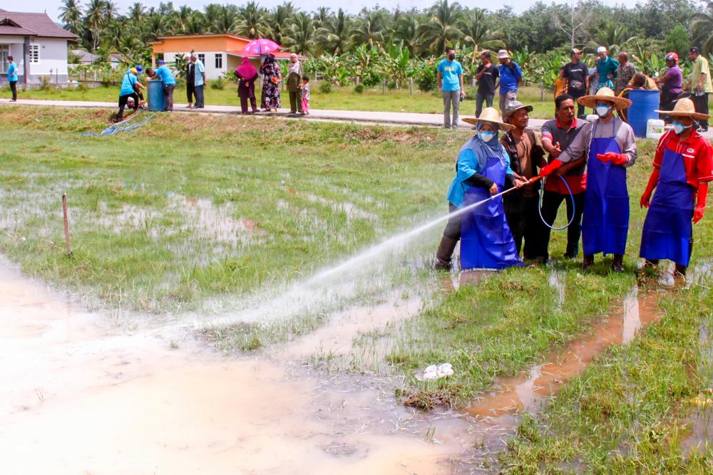 BACHOK, June 5 - Jelawat State Assemblyman Abdul Aziz Kadir (second, right) spraying liquid urea fertilizer on the Corporate Social Responsibility (CSR) Program for Liquid Lime Application of the IADA Kemasin Semerak Paddy Yield Improvement Campaign at the Alur Ganu Information Center today. BERNAMAPIX