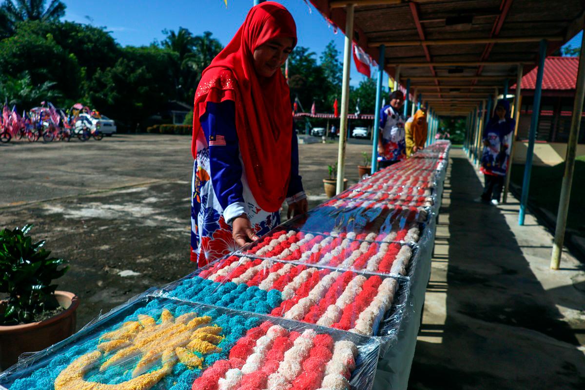 - BERNAMApix