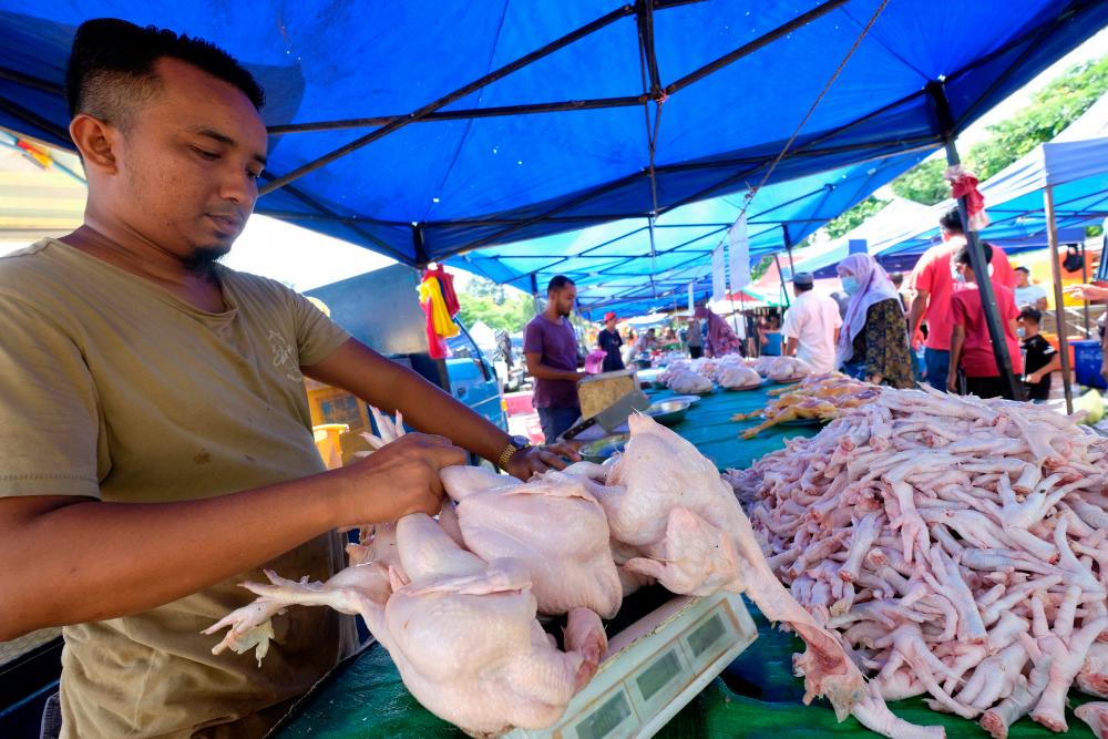 BALING, 1 Julai -- Kebanyakan peniaga menjual ayam mengikut harga syiling RM9.40 yang ditetapkan ketika tinjauan harga syiling ayam dekat Pasar Pagi Kupang hari ini. fotoBERNAMA