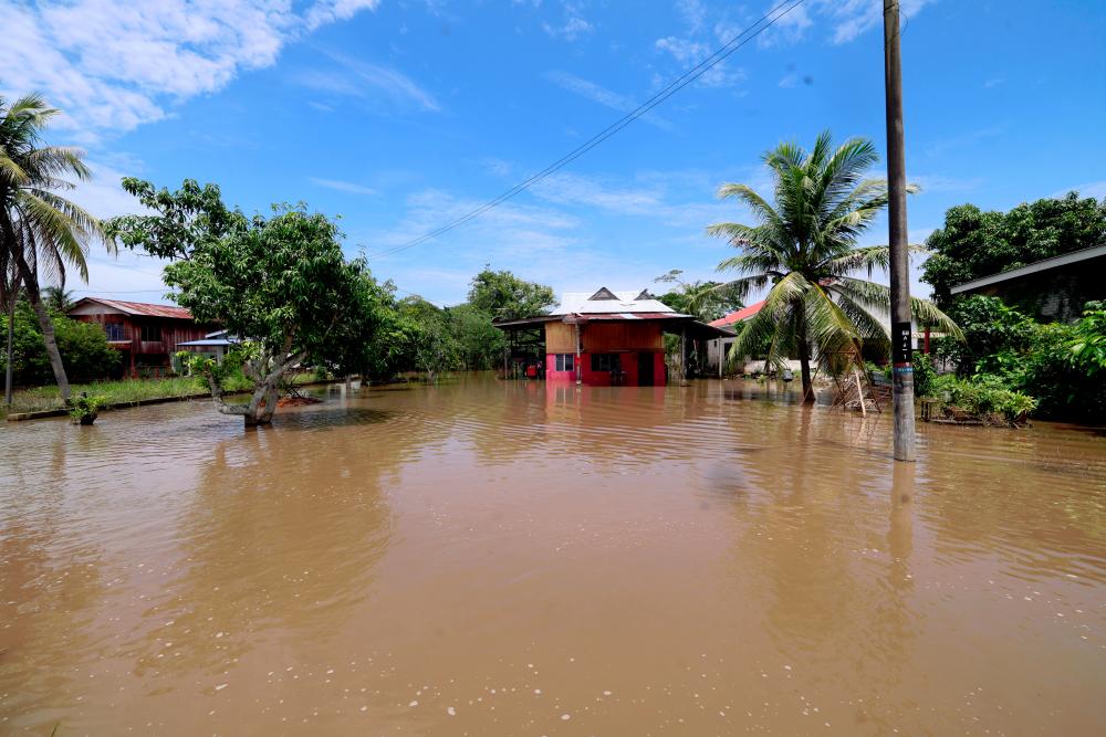 Gamabr hiasan - fotoBERNAMA