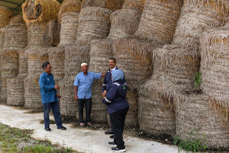 Dua pesawah sertai persidangan perubahan iklim PBB COP29 di Baku hujung minggu ini