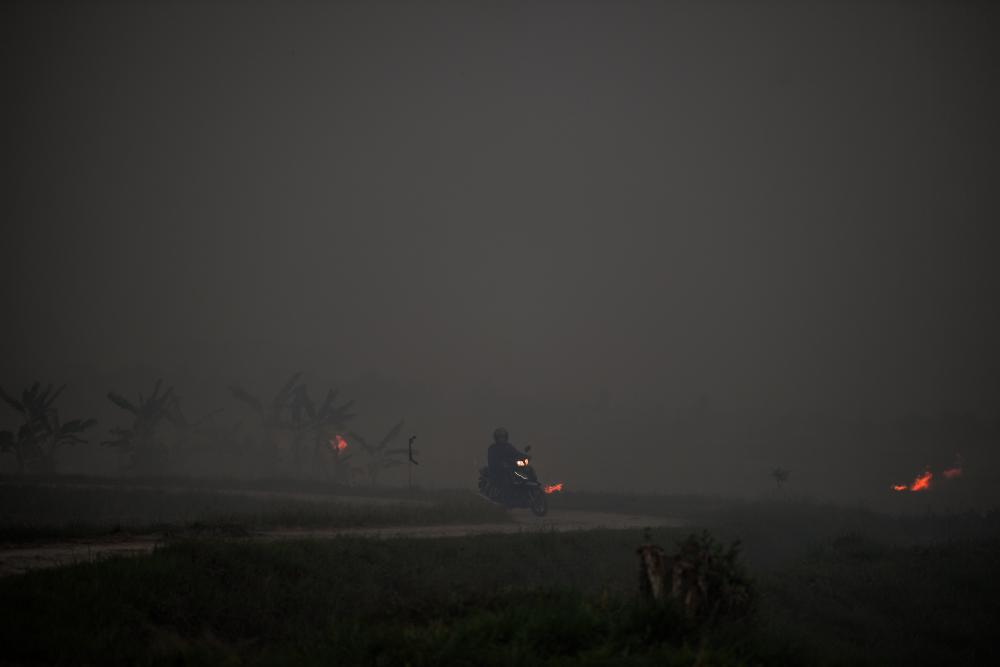 Gambar hiasan/BERNAMAPix