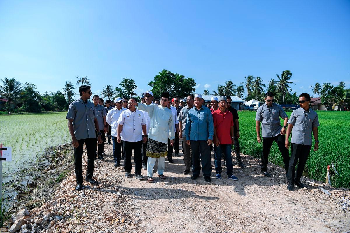 Bernamapix