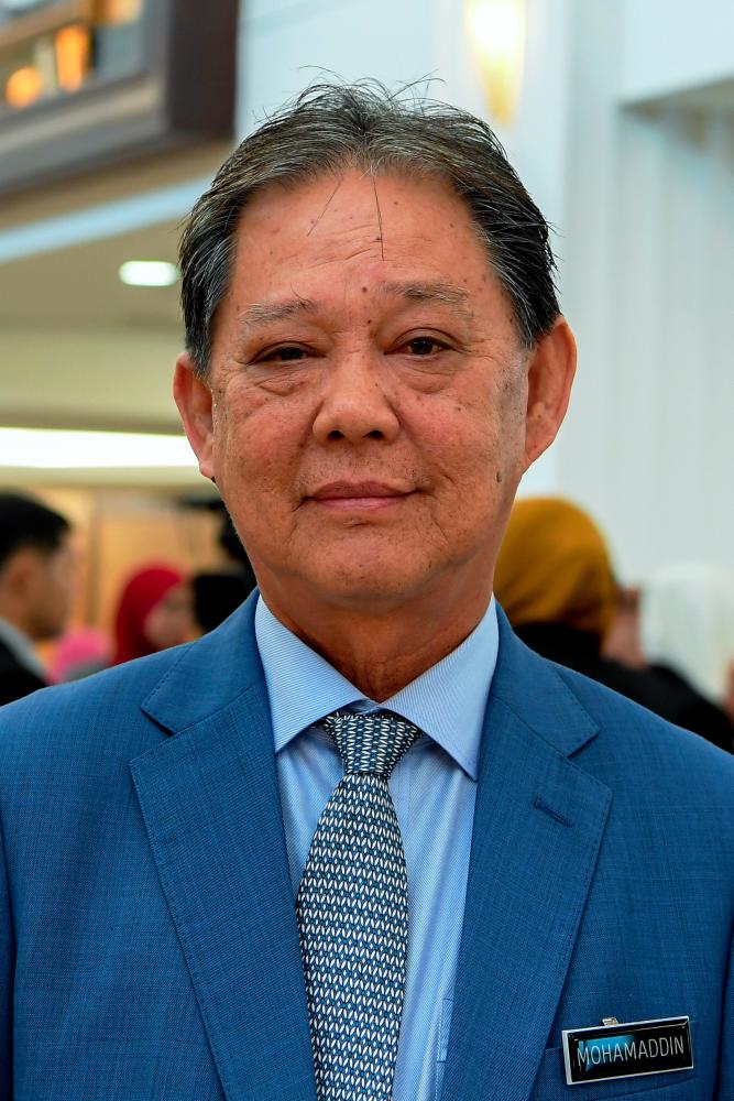 Culture, Arts and Tourism Minister Datuk Mohamaddin Ketapi. — Bernama