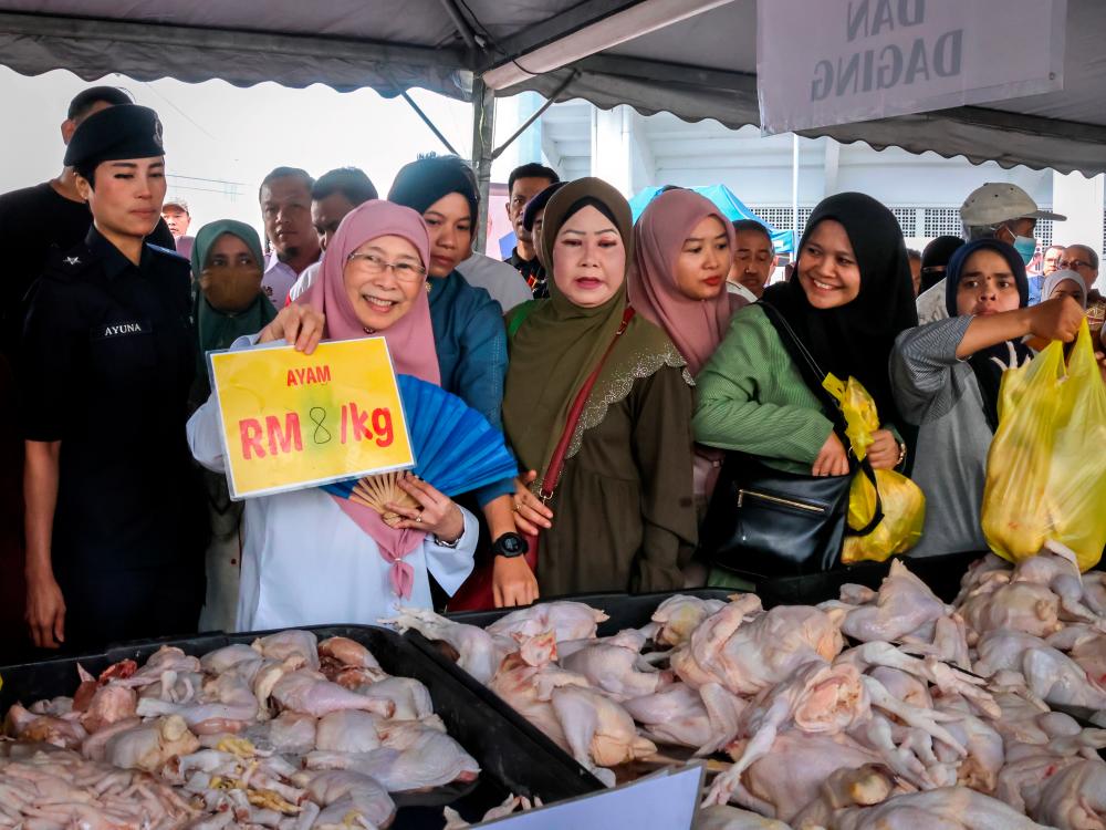 - BERNAMAPIX