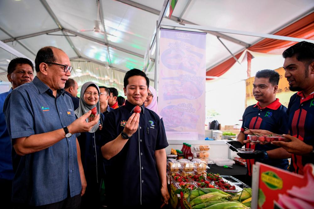 BERNAMApix