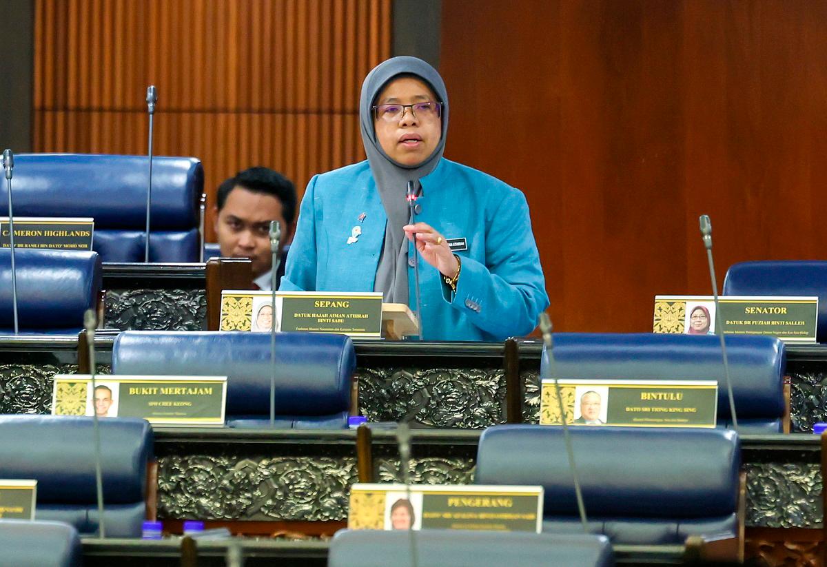 - BERNAMApix