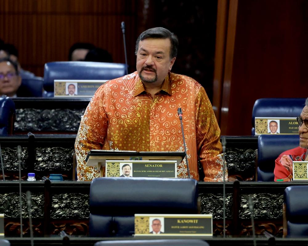 - BERNAMAPIX