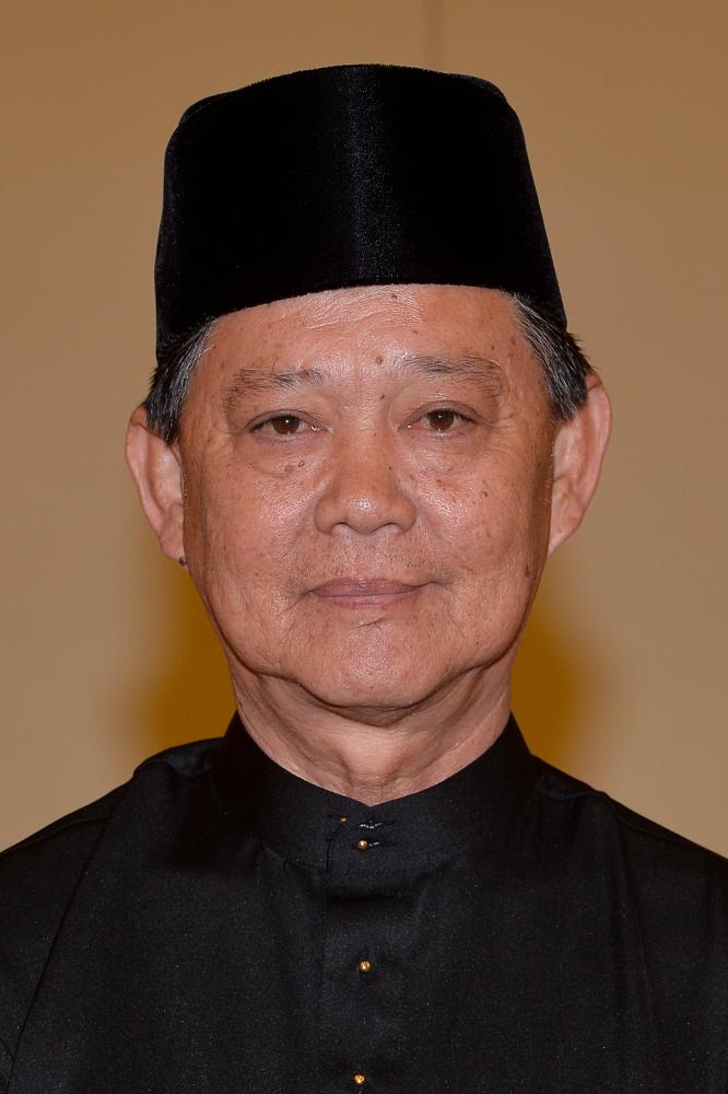 Tourism, Arts and Culture Minister Datuk Mohamaddin Ketapi. — Bernama