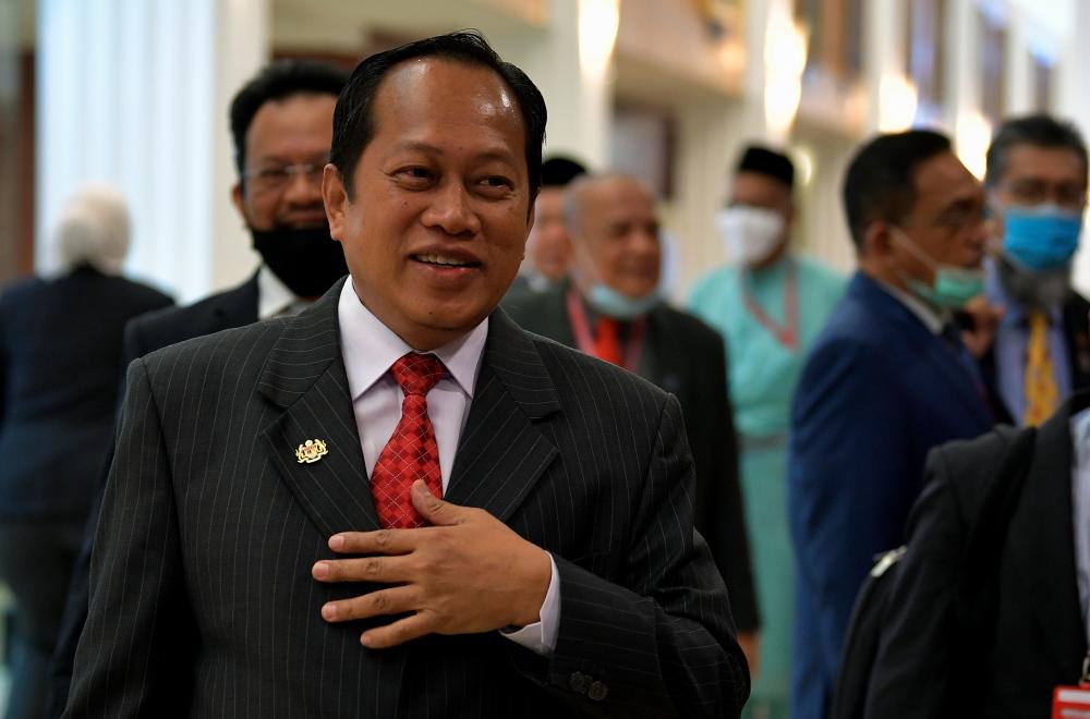 PN government is ‘palace door’ government, not ‘back door’ government: Ahmad Maslan