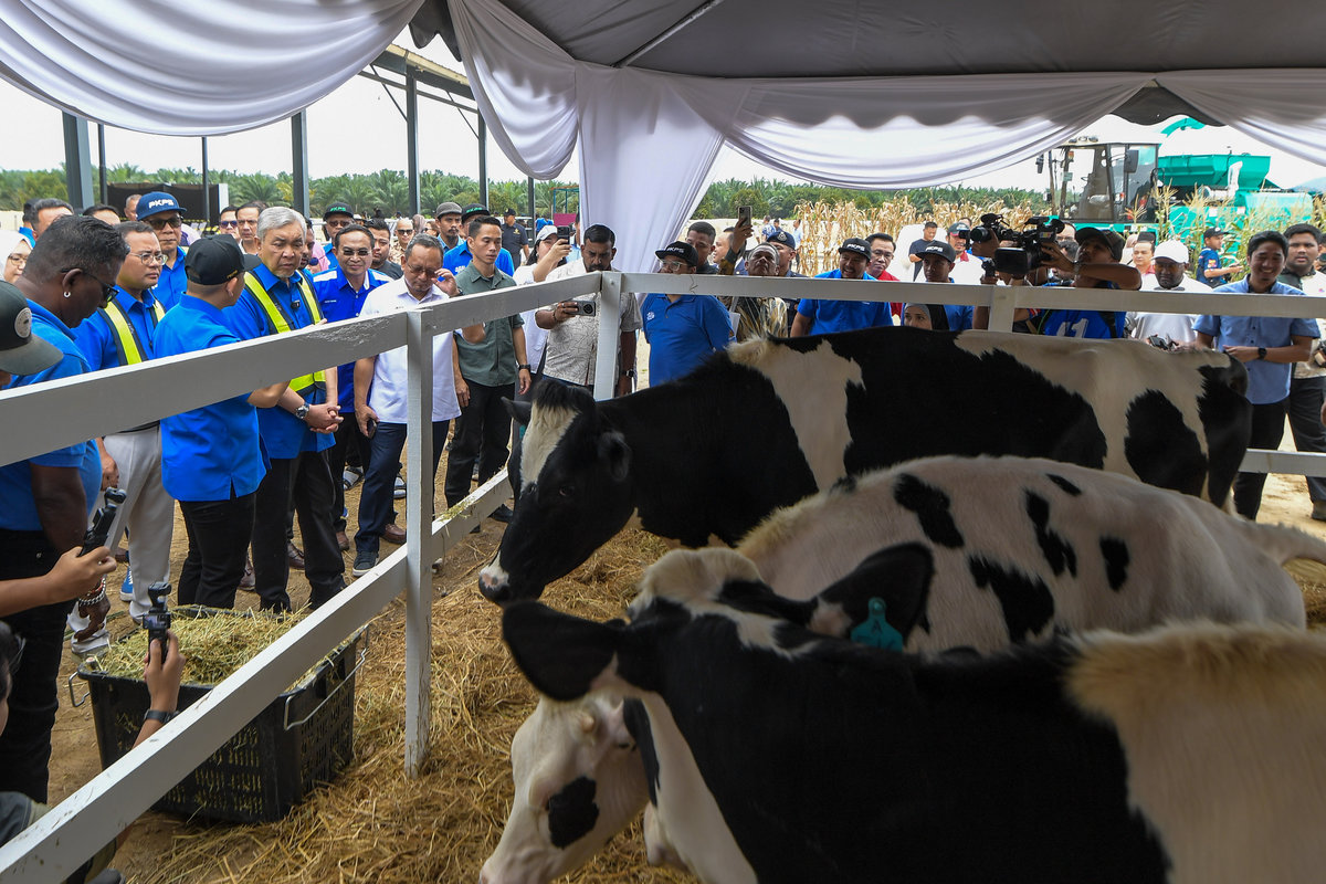 Deputy Prime Minister and Minister of Rural and Regional Development, Datuk Seri Dr Ahmad Zahid Hamidi (fourth from left), surveys the area in conjunction with the Groundbreaking Ceremony of the PKPS “Ehsan Dairy Farm” Dairy Cattle Complex at the Selangor Agricultural Development Corporation (PKPS) Plantation in Sungai Tengi today. – BERNAMA