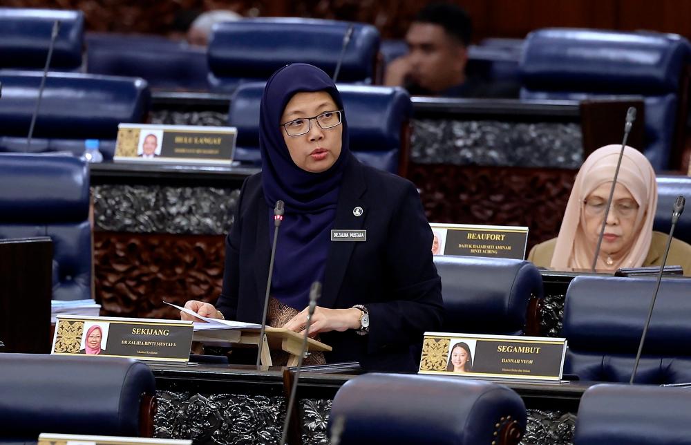 BERNAMAPix