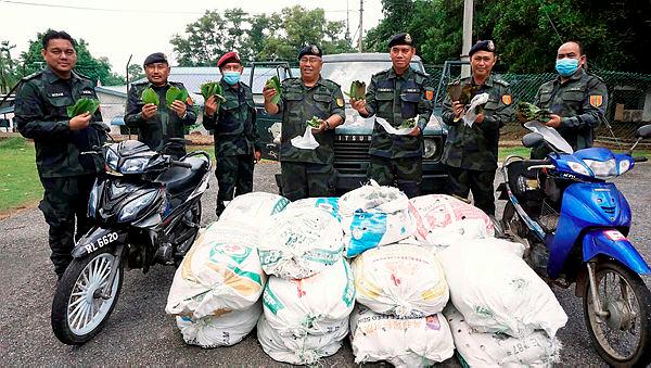 Syndicates use Perlis coast as new gateway to smuggle ketum leaves