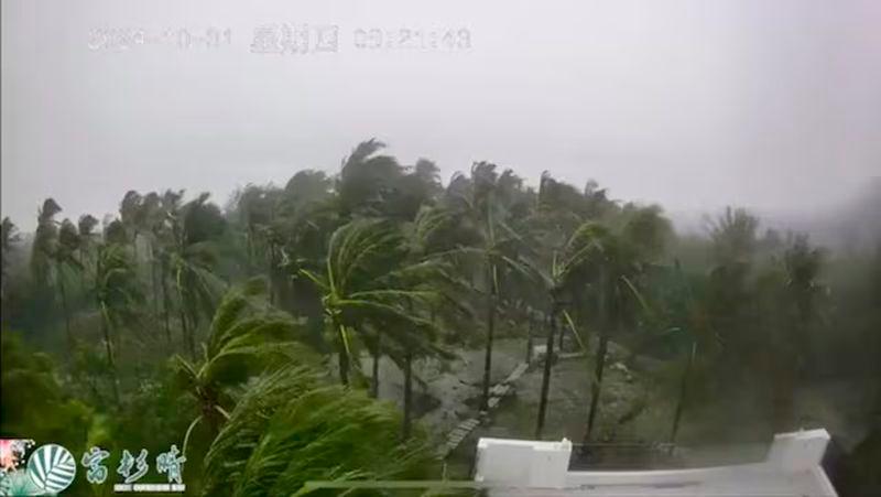 A view of trees blowing in strong winds, as Typhoon Kong-rey makes landfall, in Taitung County - REUTERSpix