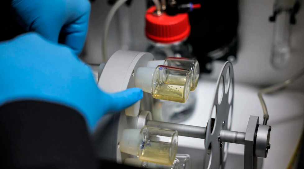 The labs found different ways to encourage stem cells to grow into a structure that resembles a human embryo, for research purposes. AFPPIX