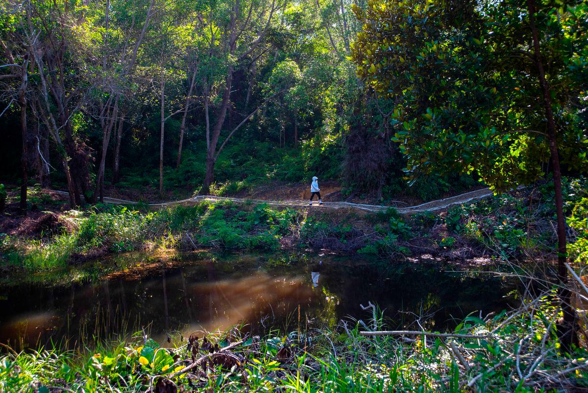 Trek ekologi yang baharu siap dibina di Taman Botani Labuan kini dibuka kepada orang ramai, menawarkan pemandangan indah dan laluan pendidikan untuk aktiviti mendaki atau berjalan kaki yang sesuai untuk semua tanpa mengira tahap kecergasan. fotoBERNAMA