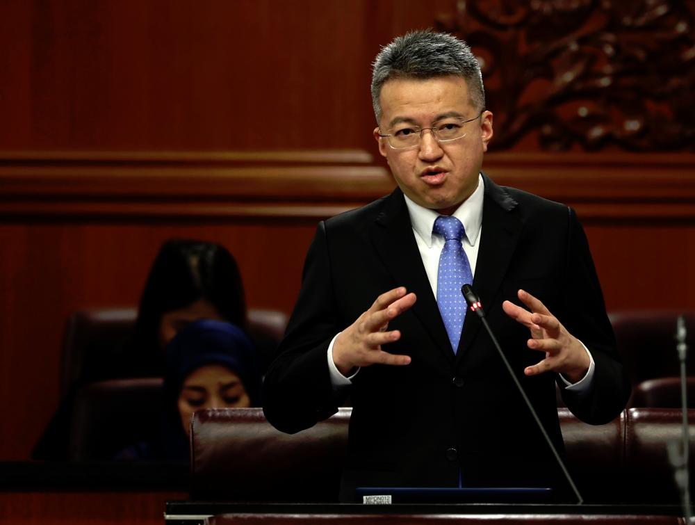 Liew speaking during a question-and-answer session at the Dewan Negara today. – Bernamapic